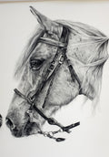 Ranch Hand 'Sliver' Prints