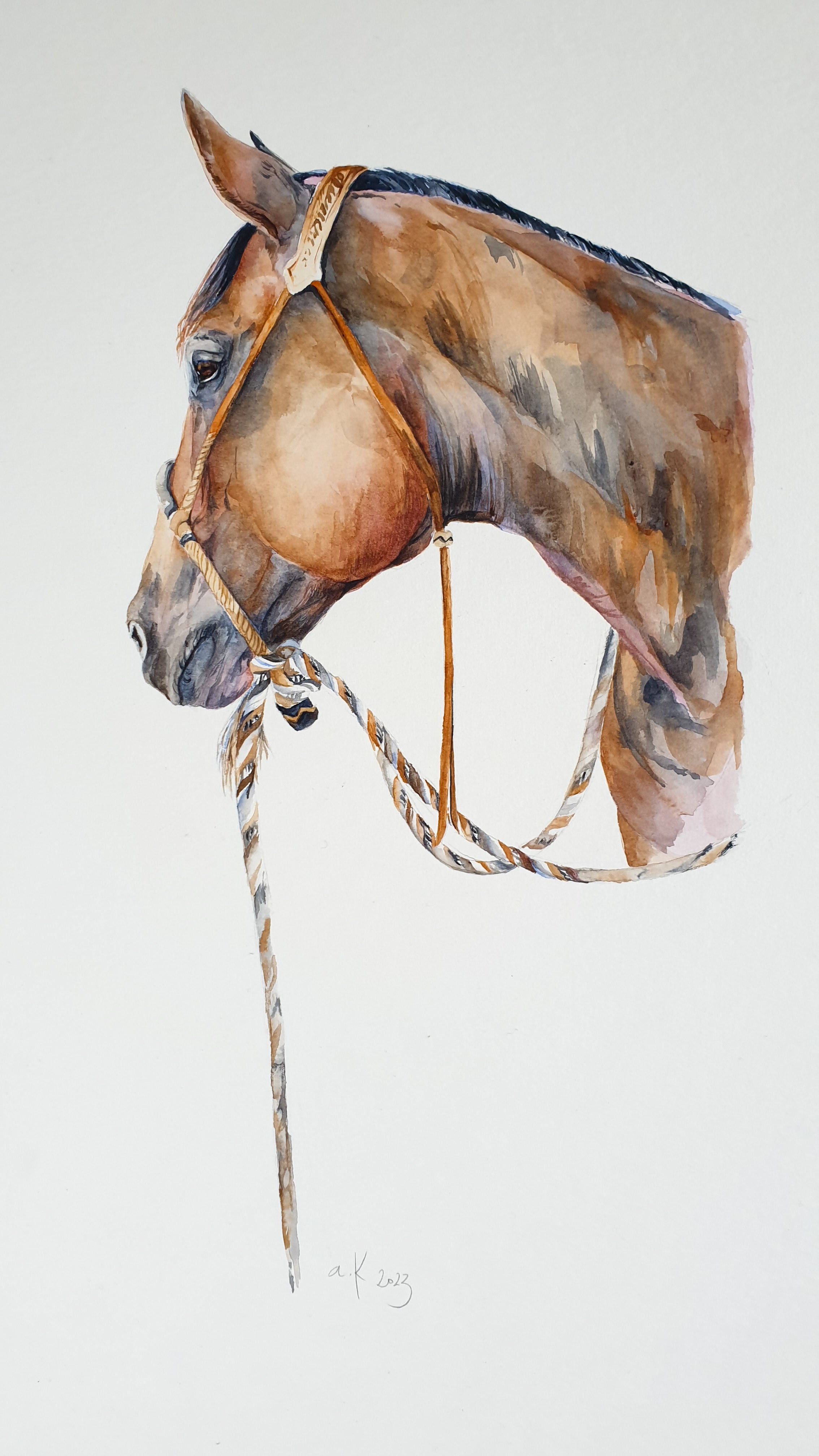 'Rawhide' PRINTS