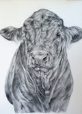 'Captain' Original Drawing