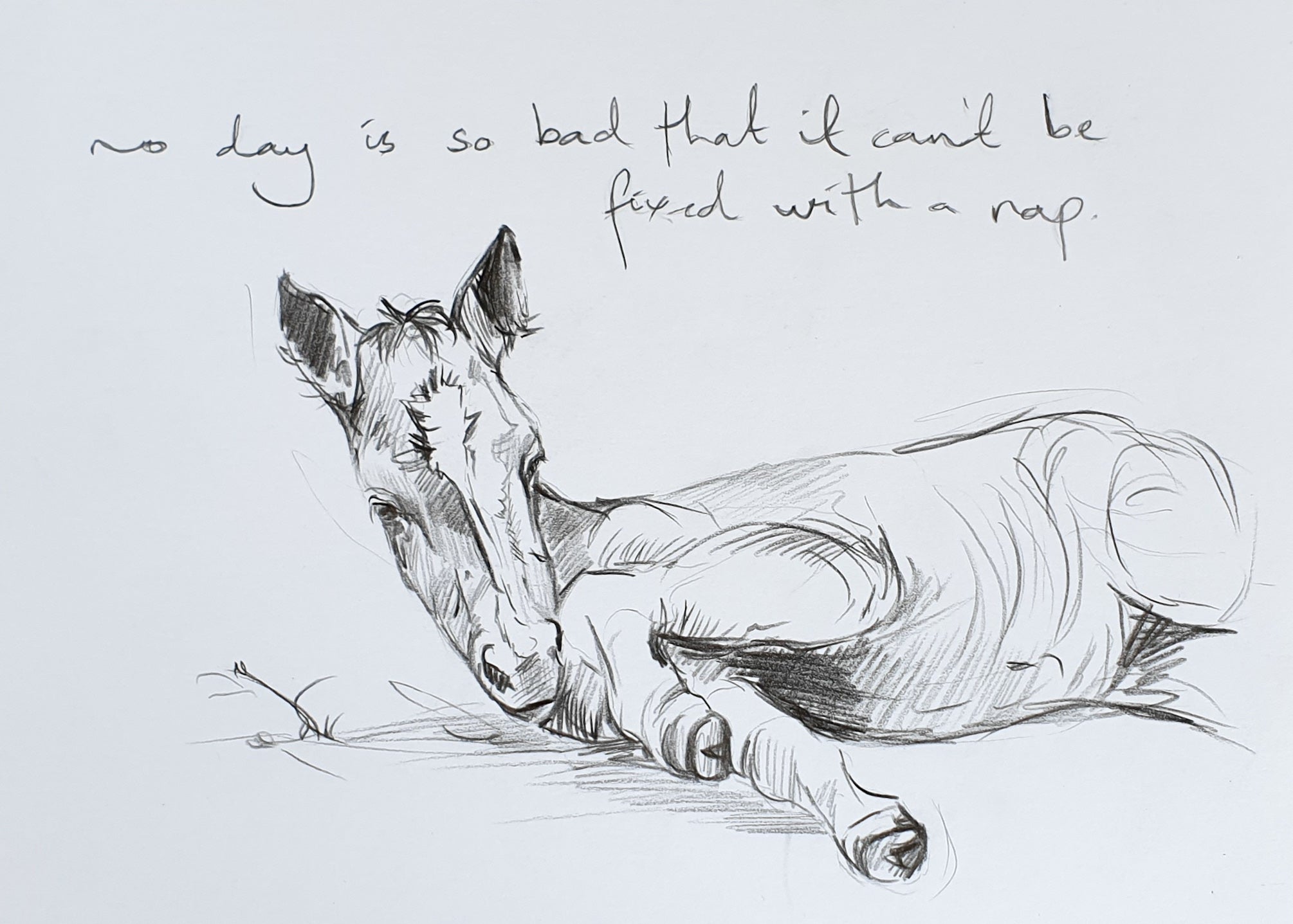 Foal & Goose Adventures PRINTS