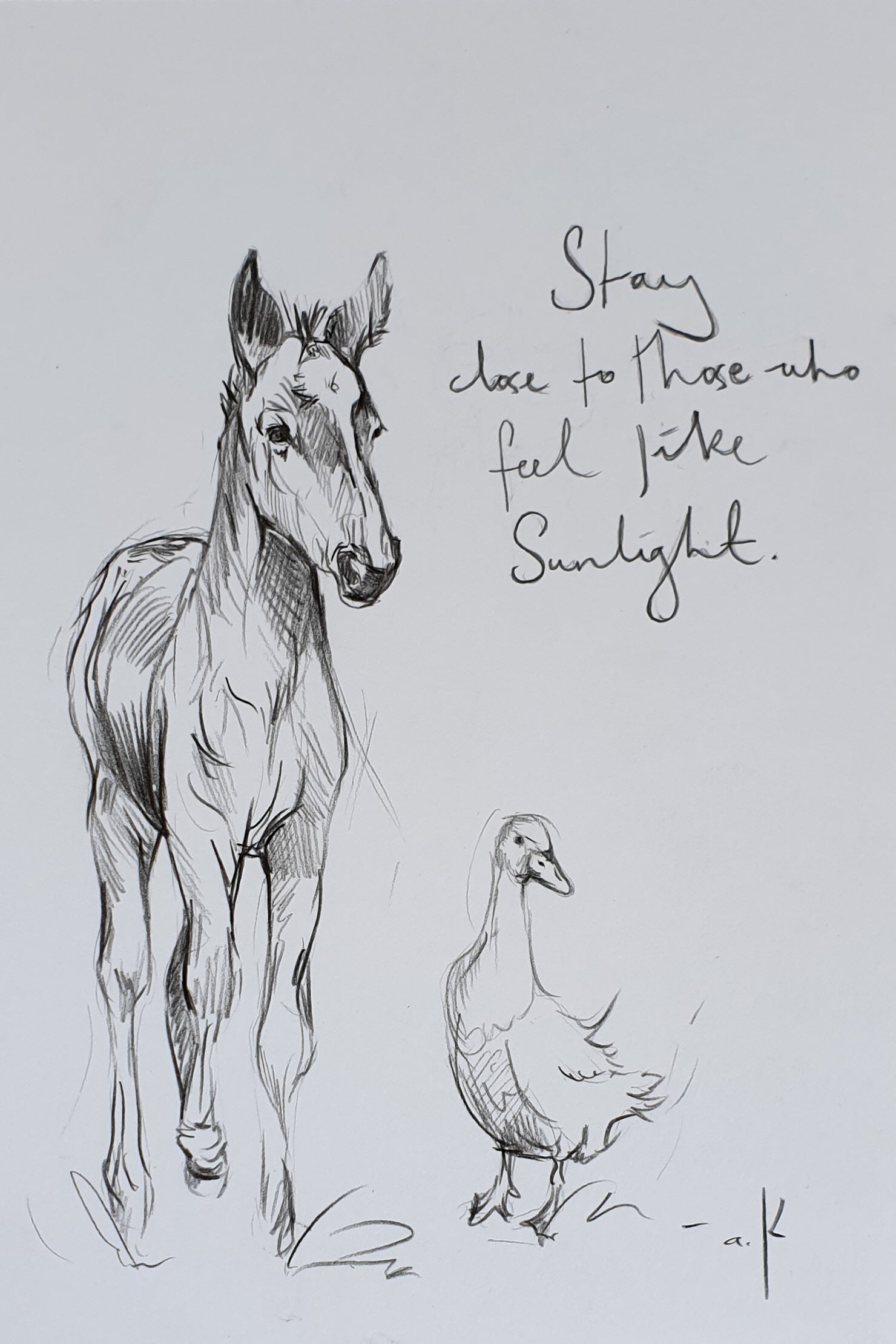 Foal & Goose Adventures PRINTS