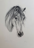 ‘Andalusian Mare' Prints
