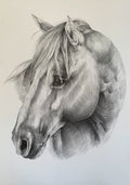 Quarter Horse Mare Prints
