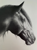 Gaze PRINTS