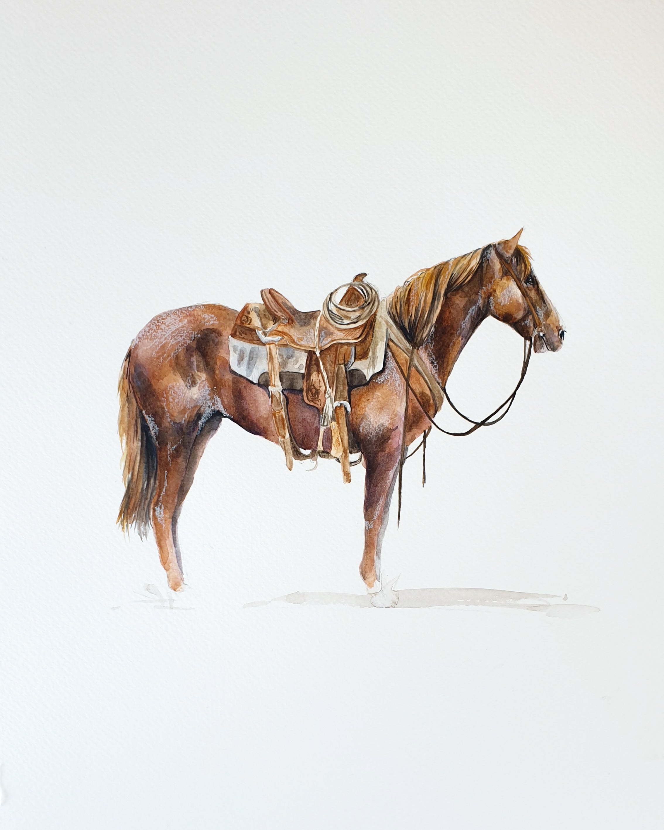 'Square off'  ORIGINAL