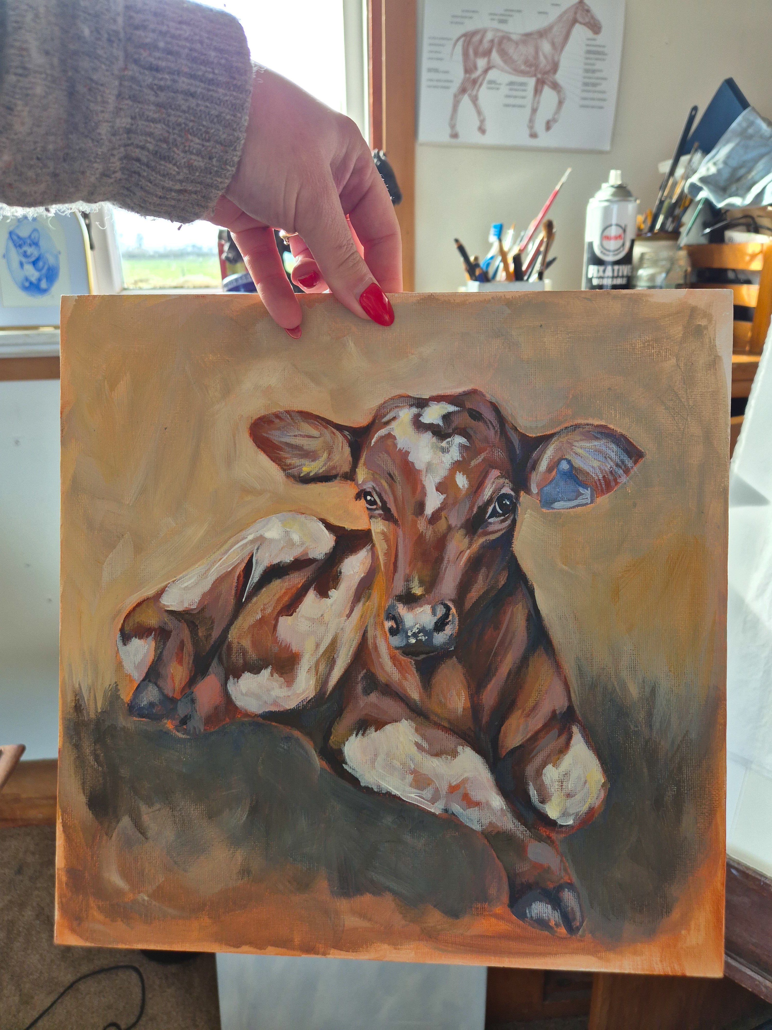Calf Study. ORIGINAL PAINTING
